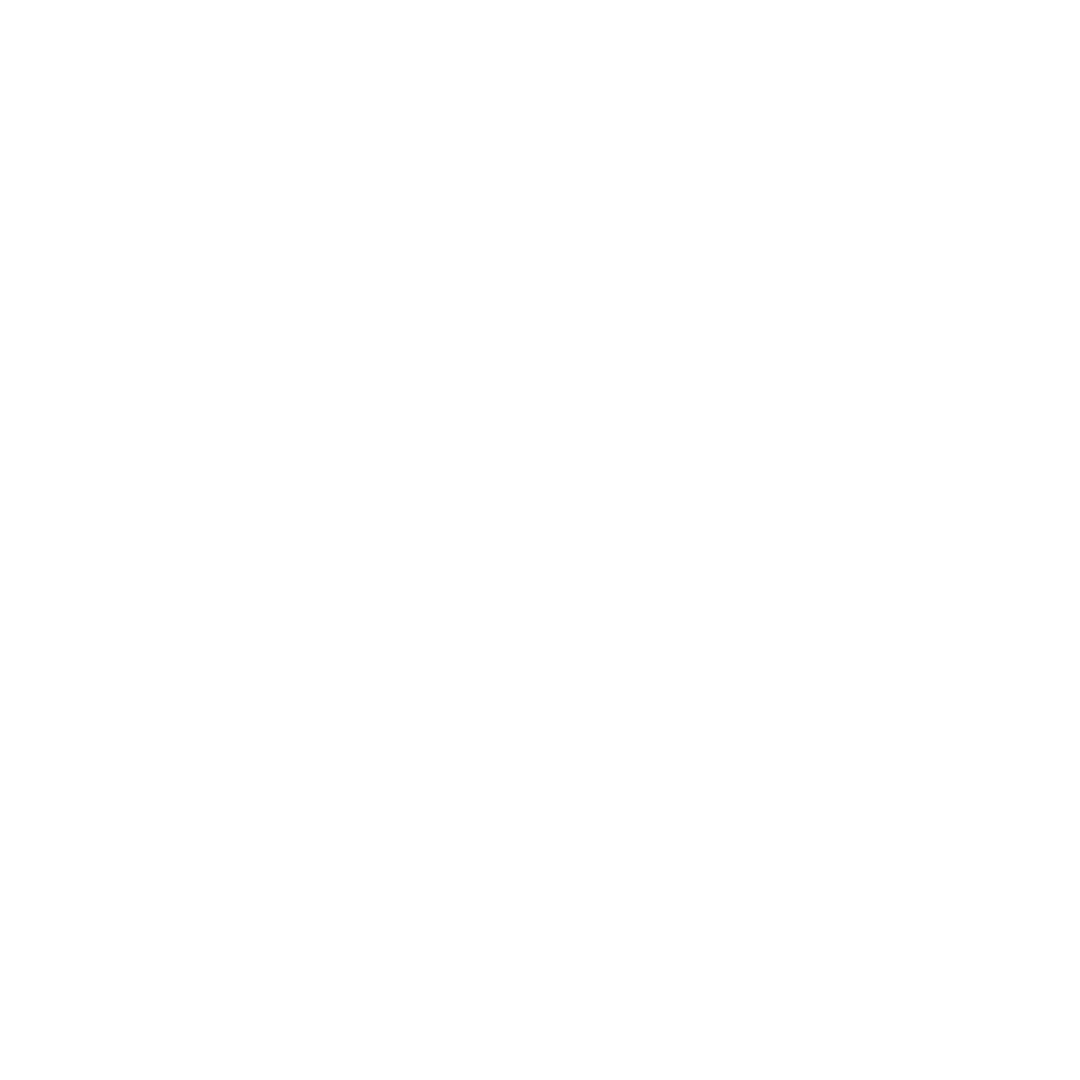 Logo Branca Operção GIS