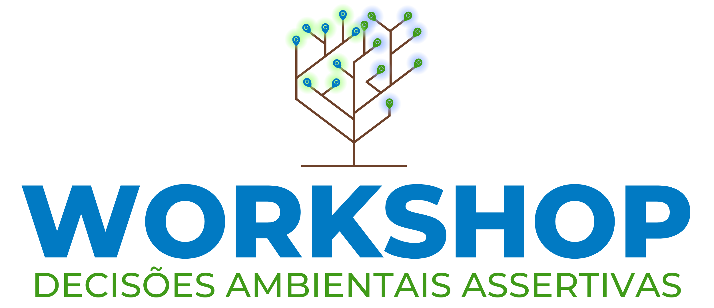 LOGO Workshop Decisões Ambientais Assertivas